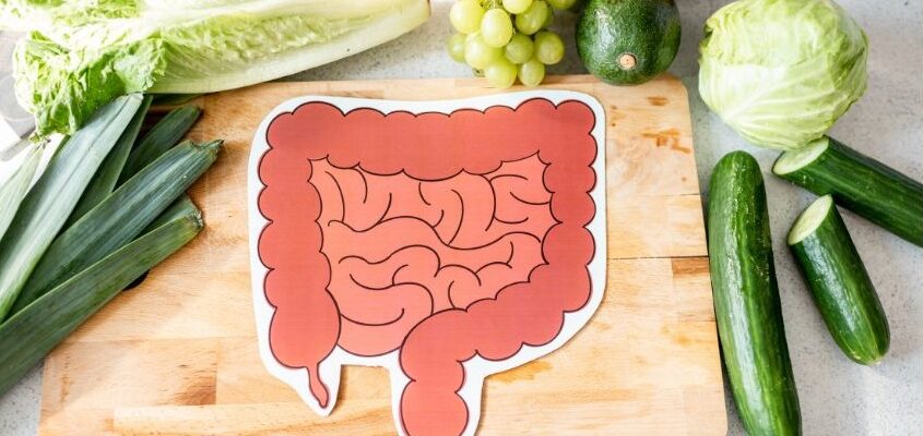 Boost Your Digestive Health with Fytoko Lifescience