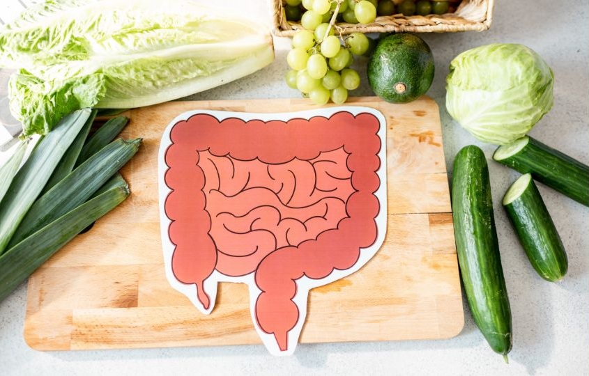 Boost Your Digestive Health with Fytoko Lifescience