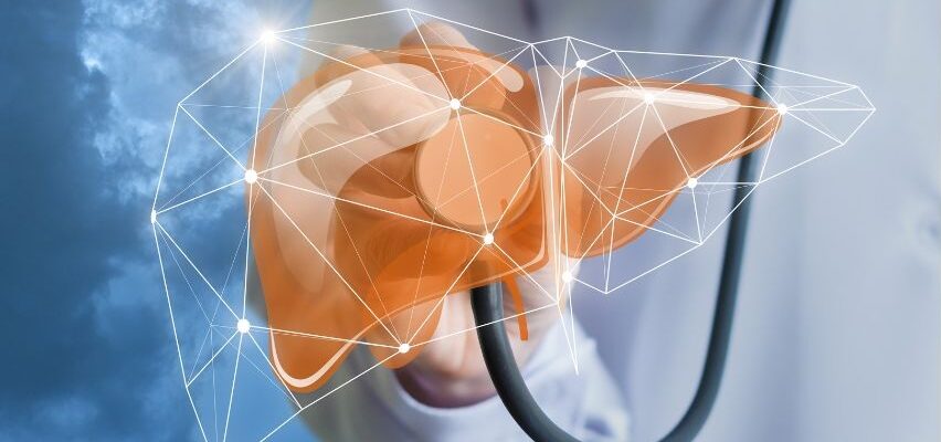 Support Your Liver Health with Fytoko Lifescience