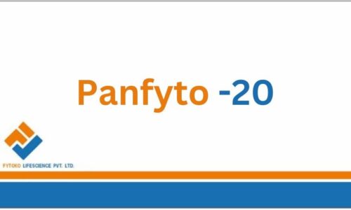 Panfyto -20