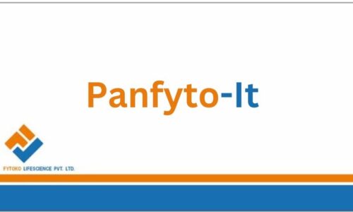 Panfyto-It